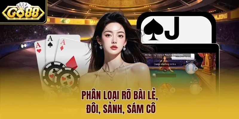 Phân loại rõ bài lẻ, đôi, sảnh, sám cô.